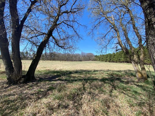 35264 Dolphin Street NW, Princeton, MN 55371