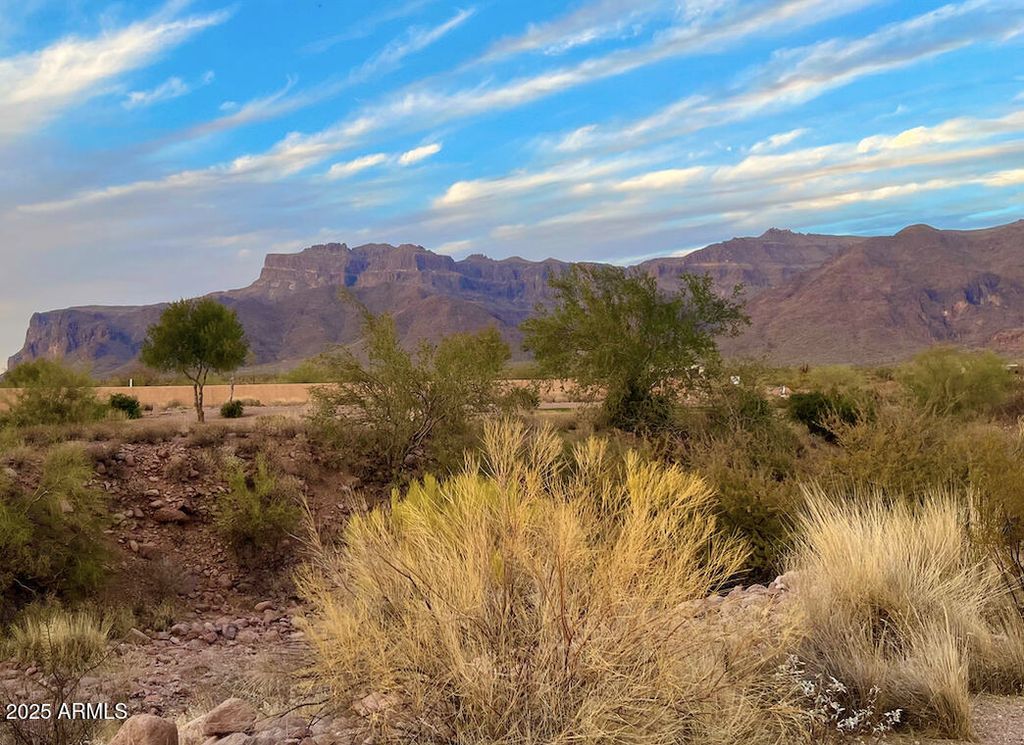 9276 E CANYON VIEW Trail 8, Gold Canyon, AZ 85118 — photo 4