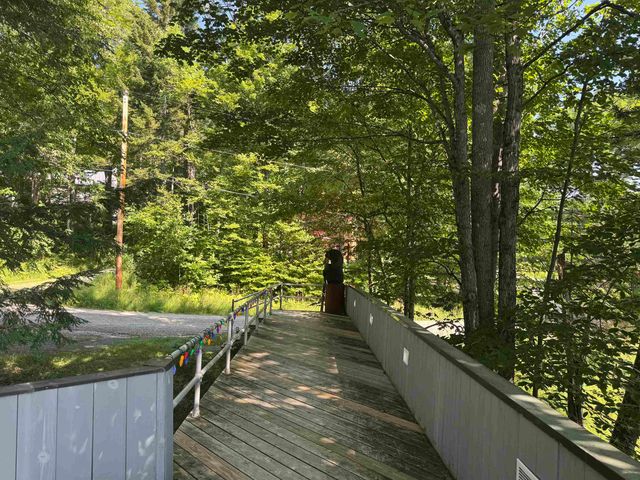 106 Upper Loop, Ludlow, VT 05149