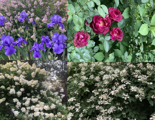 1 Proctor Road, Merrimack, NH 03054