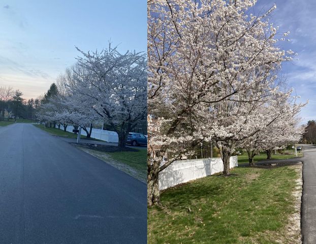 1 Proctor Road, Merrimack, NH 03054