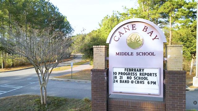 384 Wappoo Trace Lane, Summerville, SC 29486