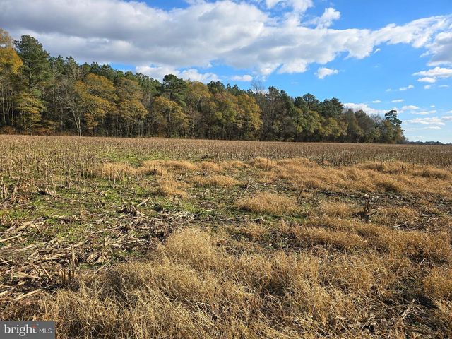 0 LOT 2 POPLAR NECK RD, Willards, MD 21874