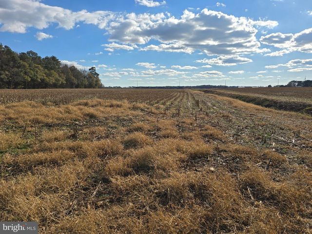 0 LOT 2 POPLAR NECK RD, Willards, MD 21874