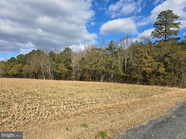 0 LOT 2 POPLAR NECK RD, Willards, MD 21874