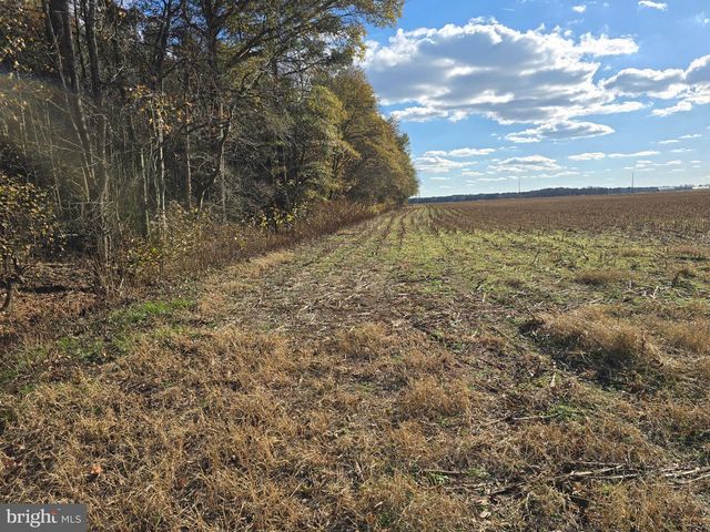 0 LOT 2 POPLAR NECK RD, Willards, MD 21874