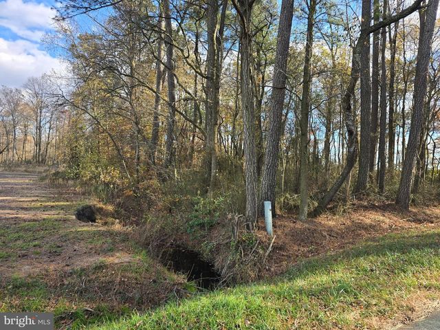 0 LOT 2 POPLAR NECK RD, Willards, MD 21874