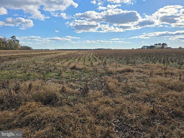 0 LOT 2 POPLAR NECK RD, Willards, MD 21874