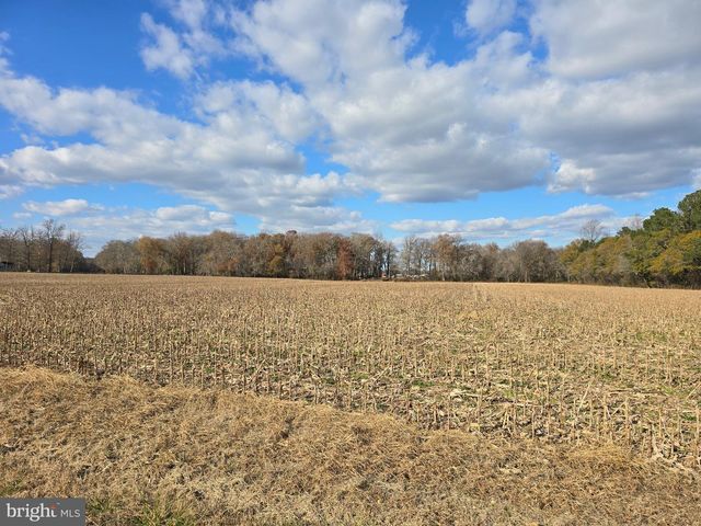 0 LOT 2 POPLAR NECK RD, Willards, MD 21874