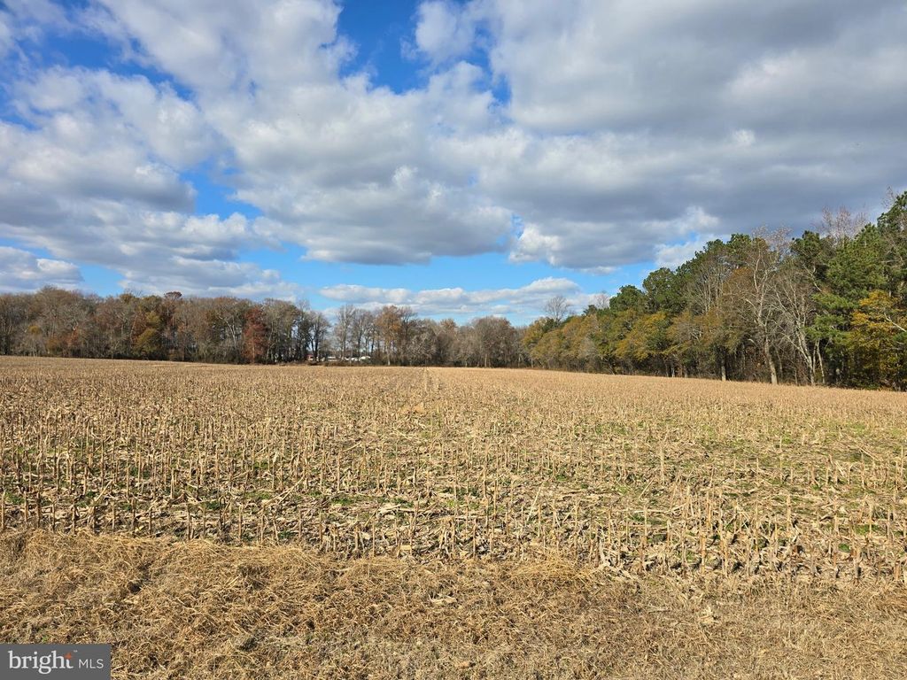 0 LOT 2 POPLAR NECK RD, Willards, MD 21874