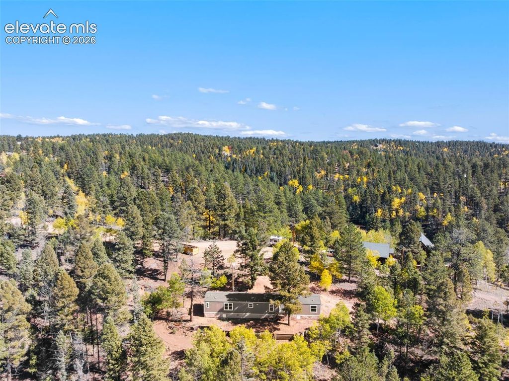 695 Elk Creek Drive, Divide, CO 80814 — photo 2