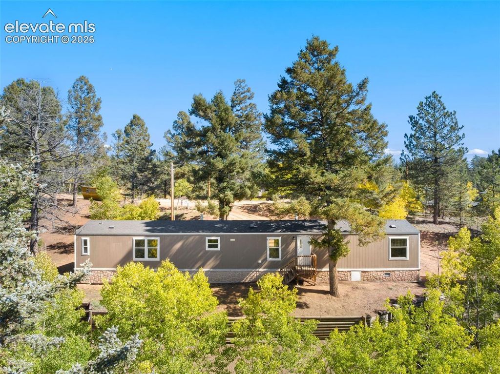 695 Elk Creek Drive, Divide, CO 80814 — photo 3