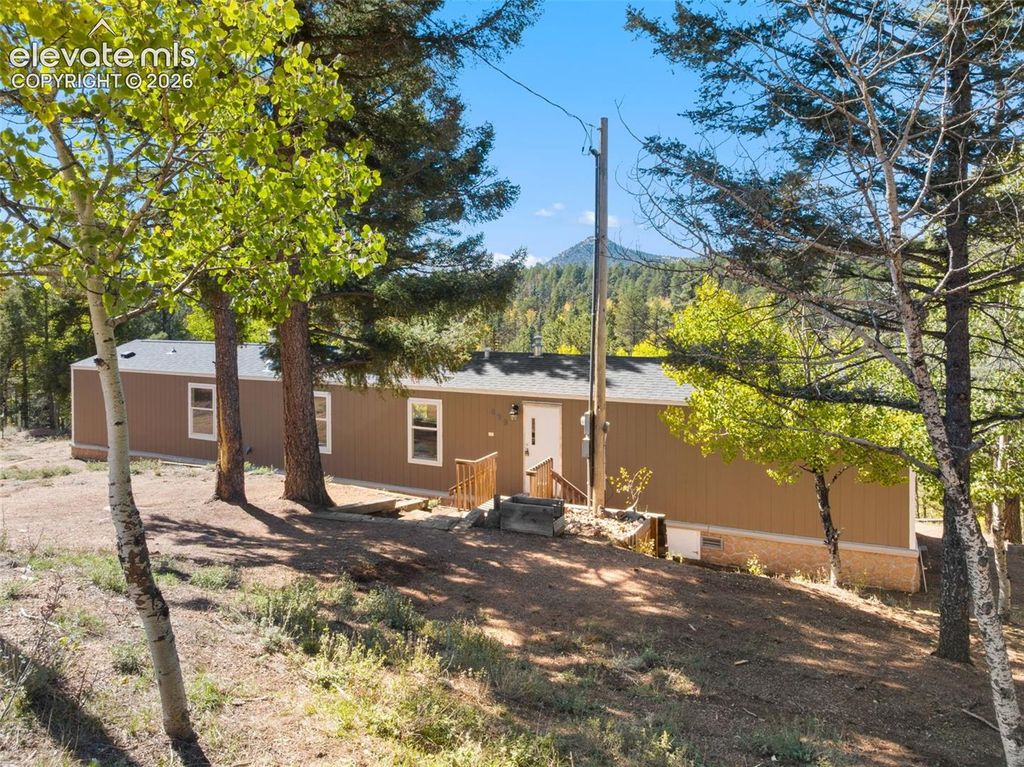 695 Elk Creek Drive, Divide, CO 80814 — photo 4
