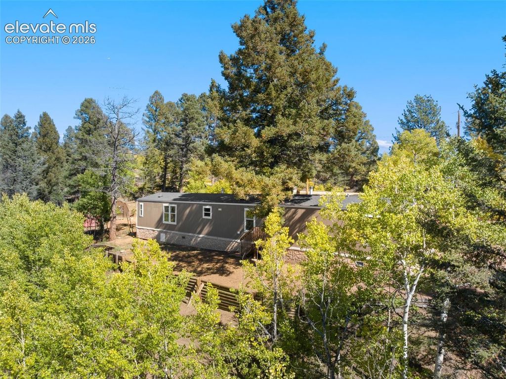 695 Elk Creek Drive, Divide, CO 80814 — photo 5