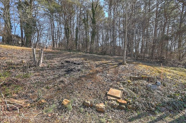 211 Sunny Hill Court, Fall Branch, TN 37656