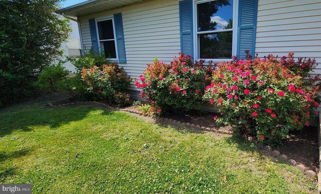 507 HAZELWOOD DR, Easton, MD 21601