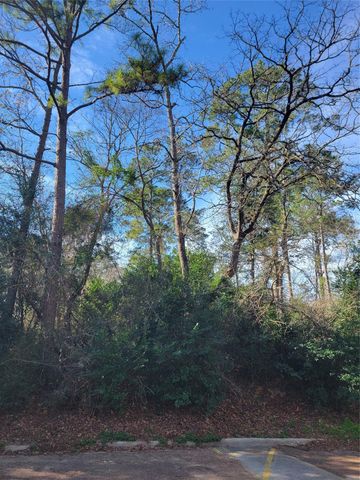 Lot 13-12149 Goliad, Willis, TX 77378