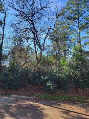 Lot 13-12149 Goliad, Willis, TX 77378