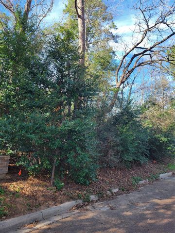 Lot 13-12149 Goliad, Willis, TX 77378