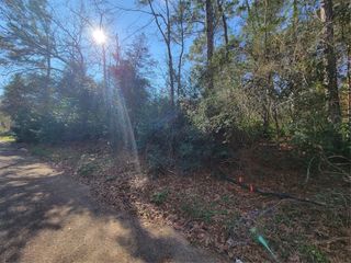 Lot 13-12149 Goliad, Willis, TX 77378