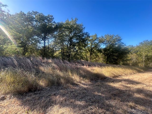 57 Point Lavista, Malakoff, TX 75148