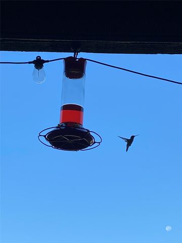 1655 Cedar Crest Loop E7, Possum Kingdom Lake, TX 76449