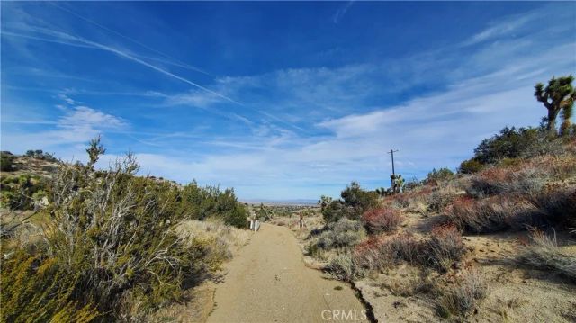 0 Vicinity Ross Road East, Juniper Hills, CA 93543