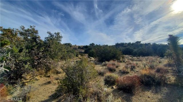 0 Vicinity Ross Road East, Juniper Hills, CA 93543