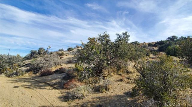 0 Vicinity Ross Road East, Juniper Hills, CA 93543
