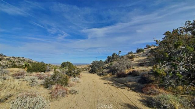 0 Vicinity Ross Road East, Juniper Hills, CA 93543
