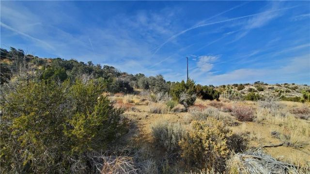 0 Vicinity Ross Road East, Juniper Hills, CA 93543