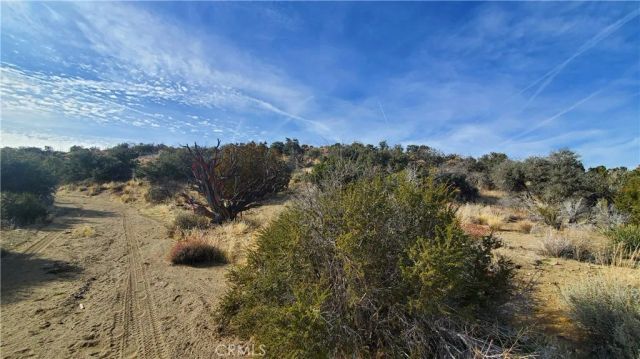 0 Vicinity Ross Road East, Juniper Hills, CA 93543