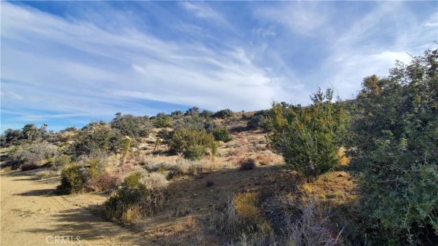 0 Vicinity Ross Road East, Juniper Hills, CA 93543