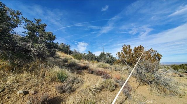 0 Vicinity Ross Road East, Juniper Hills, CA 93543