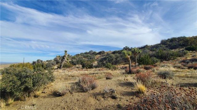 0 Vicinity Ross Road East, Juniper Hills, CA 93543