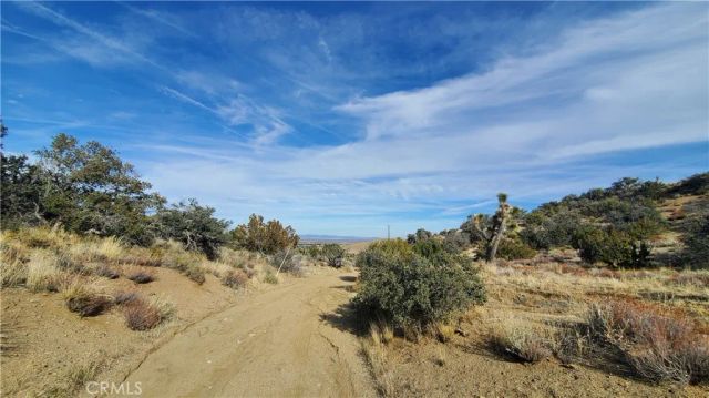 0 Vicinity Ross Road East, Juniper Hills, CA 93543