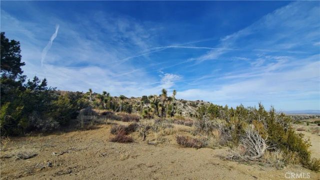 0 Vicinity Ross Road East, Juniper Hills, CA 93543