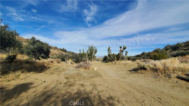 0 Vicinity Ross Road East, Juniper Hills, CA 93543