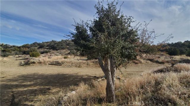 0 Vicinity Ross Road East, Juniper Hills, CA 93543