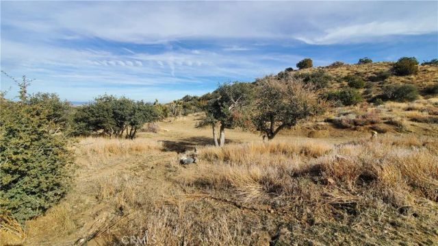 0 Vicinity Ross Road East, Juniper Hills, CA 93543
