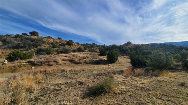 0 Vicinity Ross Road East, Juniper Hills, CA 93543