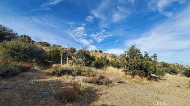 0 Vicinity Ross Road East, Juniper Hills, CA 93543