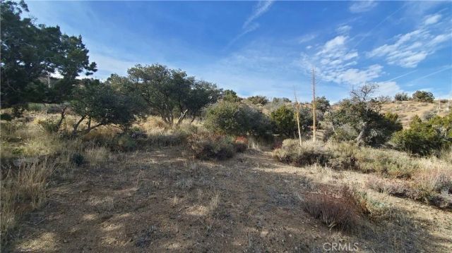 0 Vicinity Ross Road East, Juniper Hills, CA 93543