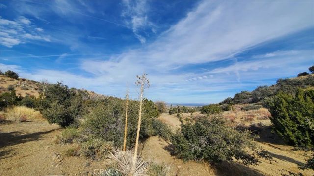 0 Vicinity Ross Road East, Juniper Hills, CA 93543