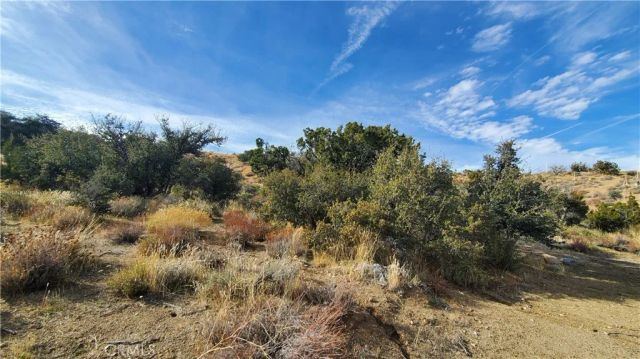 0 Vicinity Ross Road East, Juniper Hills, CA 93543