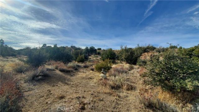 0 Vicinity Ross Road East, Juniper Hills, CA 93543