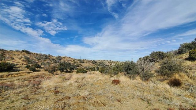 0 Vicinity Ross Road East, Juniper Hills, CA 93543