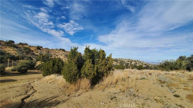 0 Vicinity Ross Road East, Juniper Hills, CA 93543