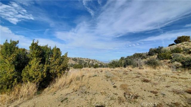 0 Vicinity Ross Road East, Juniper Hills, CA 93543
