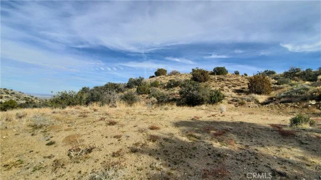 0 Vicinity Ross Road East, Juniper Hills, CA 93543